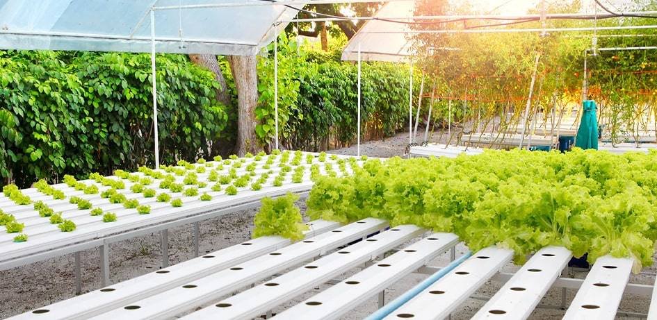 Agritech Automation